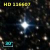 HD 116607