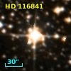 HD 116841