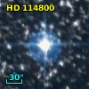 HD 114800