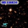 HD 116024