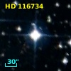 HD 116734