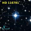 HD 116781