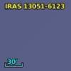 IRAS 13051-6123