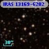 IRAS 13169-6202