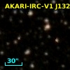 IRAS 13176-6118