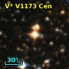 V* V1173 Cen