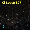 Cl Loden  807