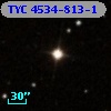 TYC 4534-813-1