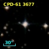 CPD-61  3677