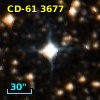 CD-61  3677