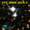 TYC 8990-3614-1