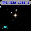 TYC 4529-1289-1