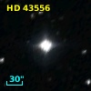 HD  43556