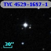 TYC 4529-1687-1