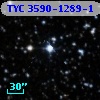 TYC 3590-1289-1
