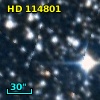 HD 114801