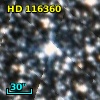 HD 116360