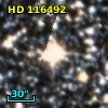 HD 116492