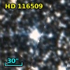 HD 116509