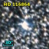 HD 116864