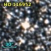 HD 116952