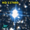 HD 117460