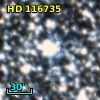 HD 116735