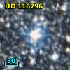 HD 116796