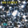 HD 117023