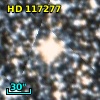 HD 117277
