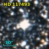 HD 117493