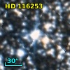 HD 116253