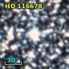 HD 116678