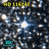 HD 116747