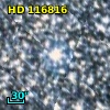 HD 116816