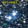 HD 116953
