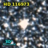 HD 116973