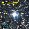 HD 117609