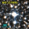 HD 117691