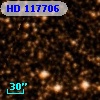 HD 117706