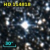 HD 114818