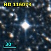 HD 116073