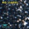 HD 116691