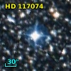 HD 117074