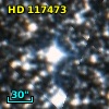 HD 117473