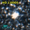 HD 116005