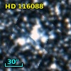 HD 116088