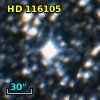 HD 116105
