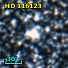 HD 116123