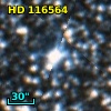 HD 116564